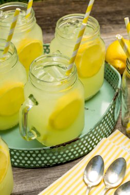 Mason taze sıkılmış limonata kavanozlar