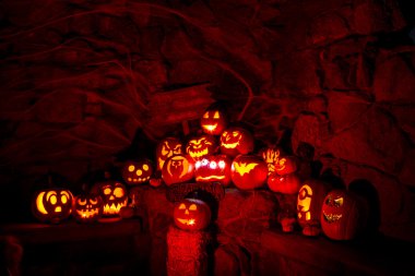 Halloween Pumpkins mum yaktı