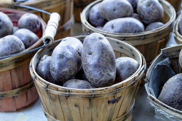 Los agricultores comercializan frutas y hortalizas —  Fotos de Stock