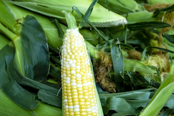 Mezőgazdasági termelők piaci, gyümölcsök és zöldségek — Stock Fotó