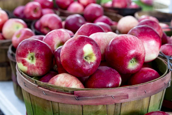 Los agricultores comercializan frutas y hortalizas — Foto de Stock