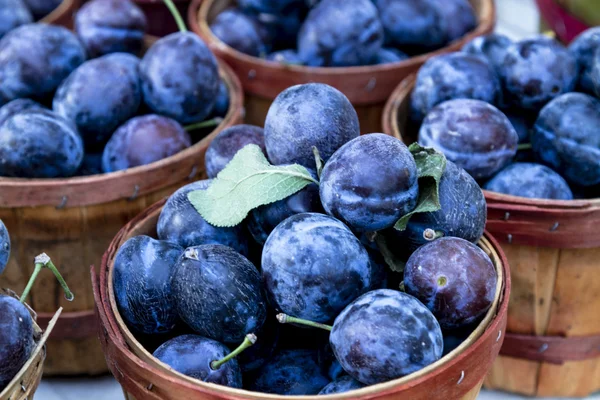 Farmers Market Fruits and Vegetables — Stock Photo, Image