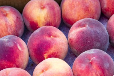 Çiftçilerin piyasa meyve ve sebze