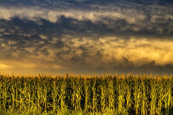 Bouřková fronta s mraky Mammatus — Stock fotografie