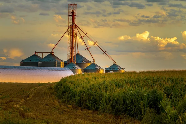 Pôr do sol sobre silos agrícolas — Fotografia de Stock