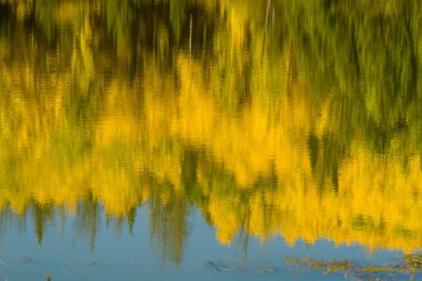 colorado sonbaharda steamboat springs
