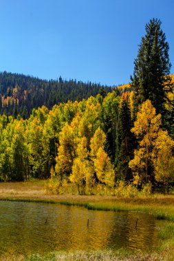 colorado sonbaharda steamboat springs