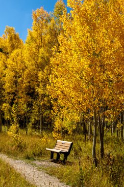 colorado sonbaharda steamboat springs