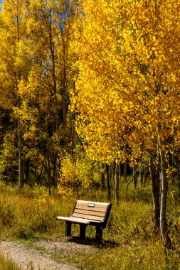 colorado sonbaharda steamboat springs