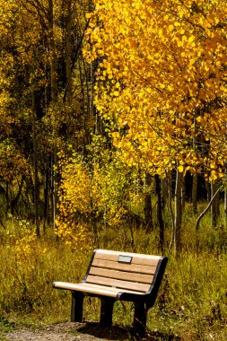colorado sonbaharda steamboat springs