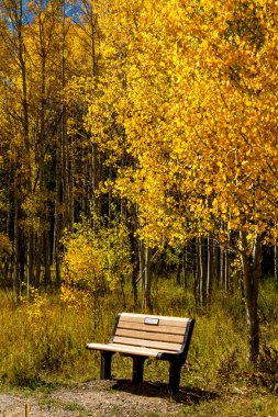 colorado sonbaharda steamboat springs