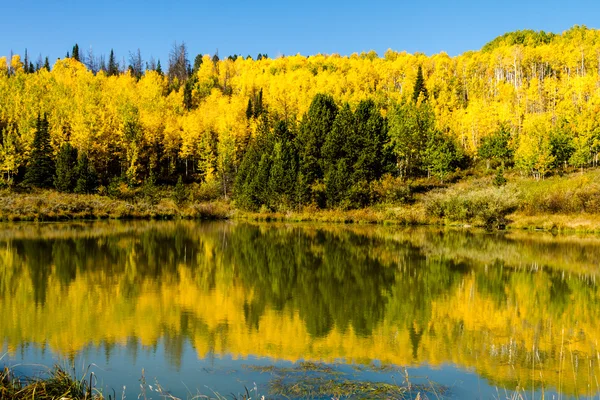 Caída en Steamboat Springs Colorado — Foto de Stock