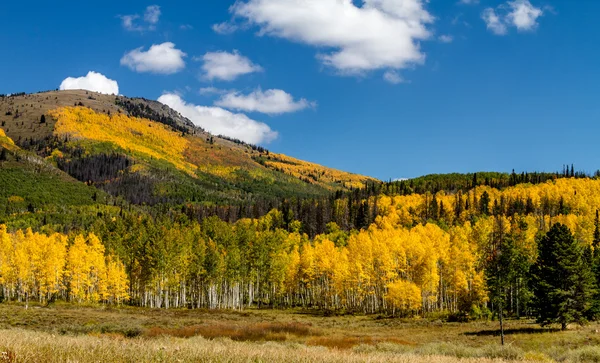 Fall in Steamboat Springs Colorado — Stock Photo, Image
