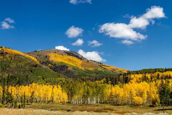 Fall in Steamboat Springs Colorado — Stock Photo, Image