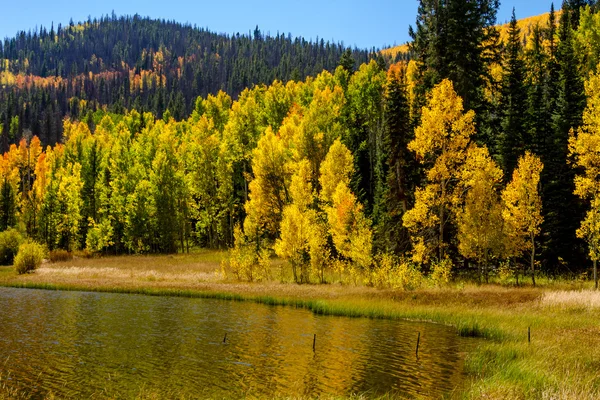 Caída en Steamboat Springs Colorado — Foto de Stock