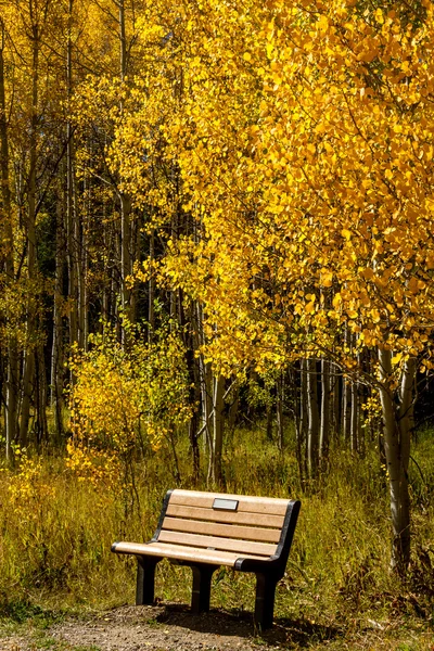 colorado sonbaharda steamboat springs