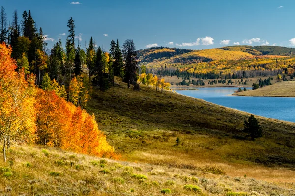 Automne à vapeur Springs Colorado — Photo