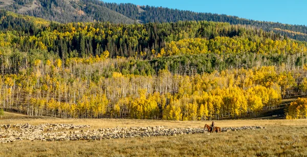 Fall in Steamboat Springs Colorado — Stock Photo, Image