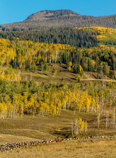 Queda em Steamboat Springs Colorado — Fotografia de Stock