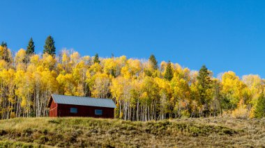 colorado sonbaharda steamboat springs
