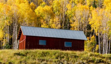 colorado sonbaharda steamboat springs