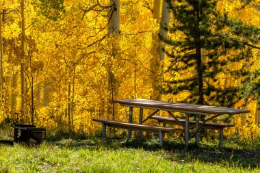 colorado sonbaharda steamboat springs