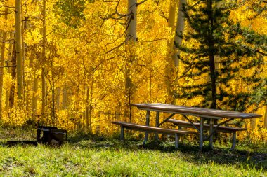 colorado sonbaharda steamboat springs