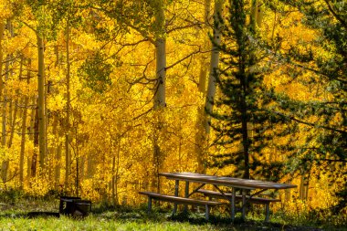 colorado sonbaharda steamboat springs