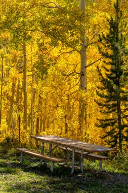 colorado sonbaharda steamboat springs
