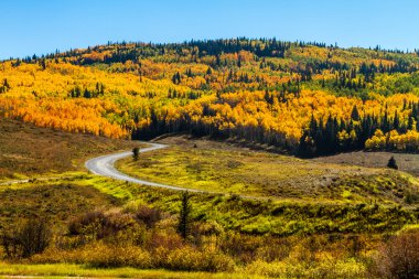 colorado sonbaharda steamboat springs