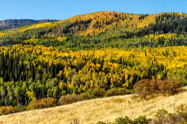 Nedgången i steamboat springs colorado — Stockfoto