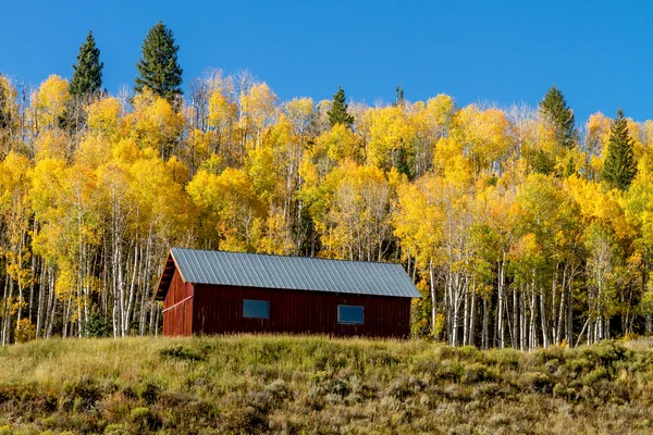 Fall in Steamboat Springs Colorado — Stock Photo, Image