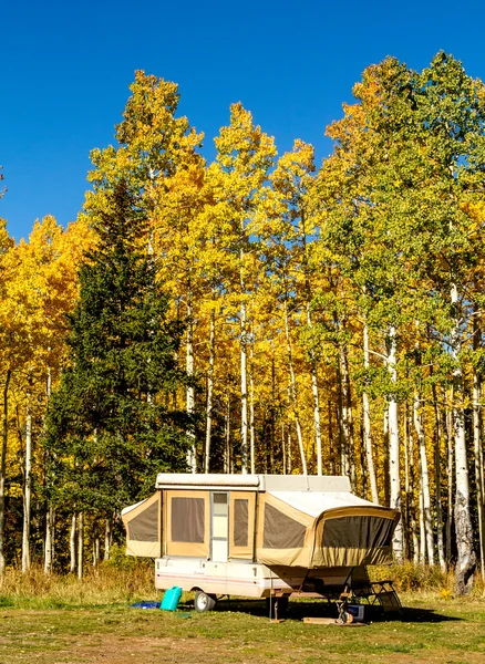 Fall in Steamboat Springs Colorado — Stock Photo, Image