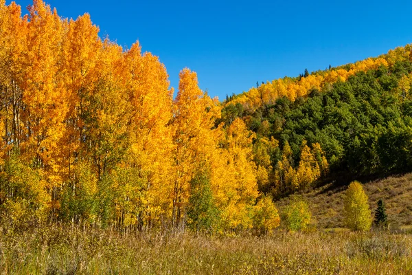 Caída en Steamboat Springs Colorado — Foto de Stock