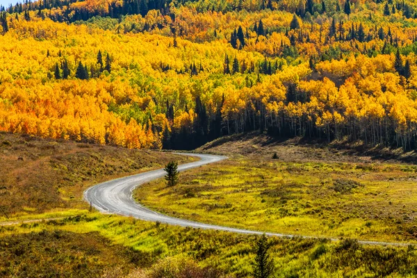 Fall in Steamboat Springs Colorado — Stock Photo, Image