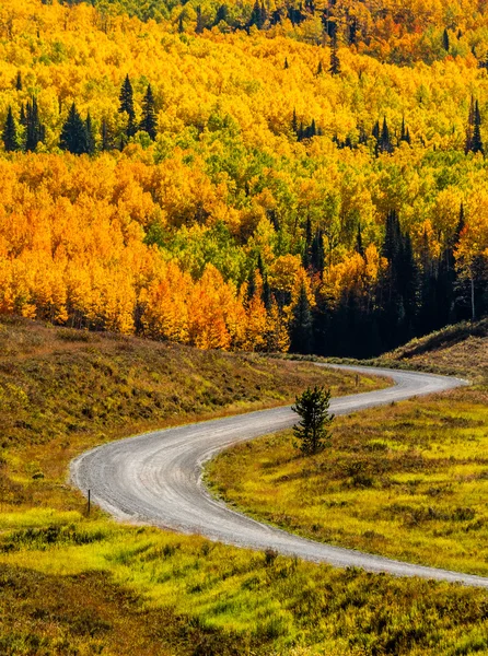 Queda em Steamboat Springs Colorado — Fotografia de Stock