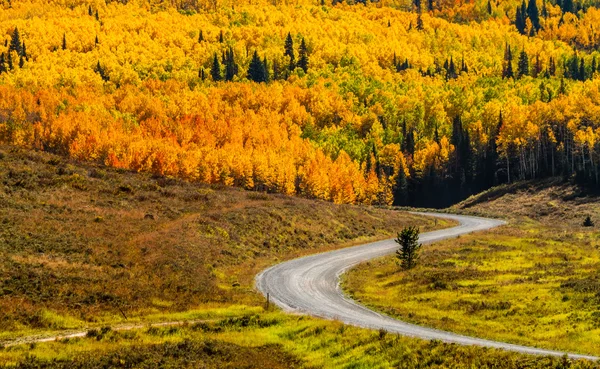 Fall in Steamboat Springs Colorado — Stock Photo, Image