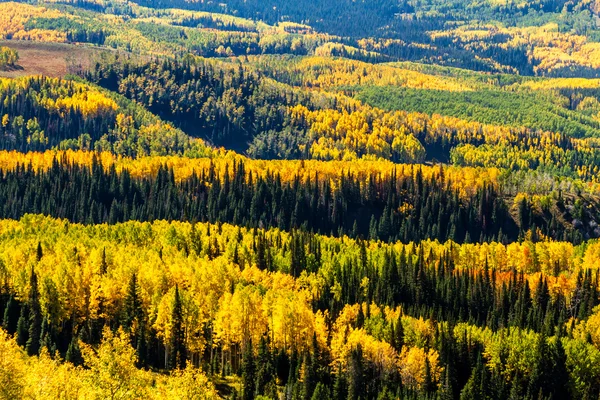 Caída en Steamboat Springs Colorado — Foto de Stock