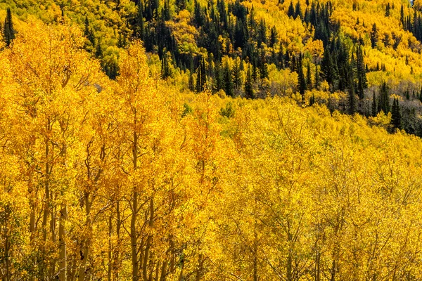 Caída en Steamboat Springs Colorado — Foto de Stock