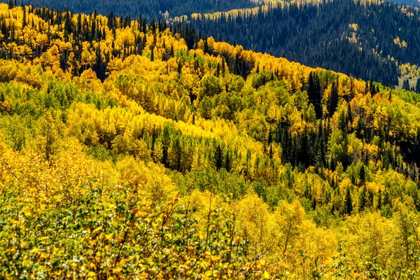 Csökkenése steamboat springs colorado — Stock Fotó