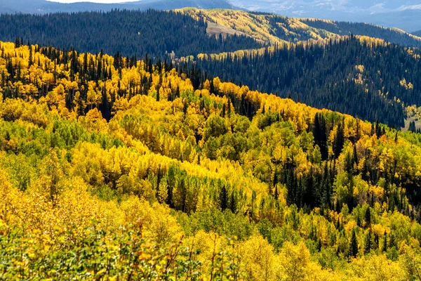 Csökkenése steamboat springs colorado — Stock Fotó