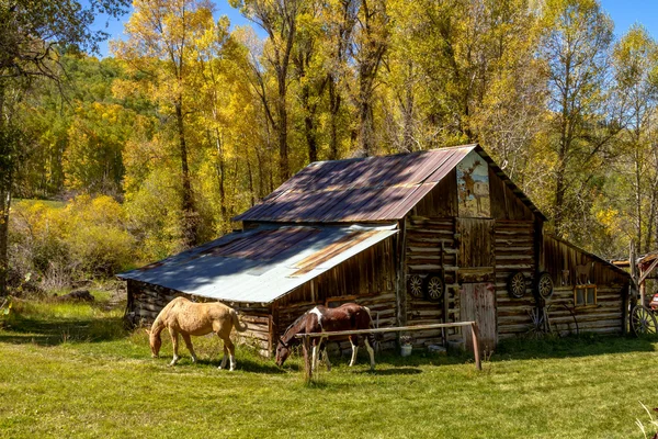 Падение в Steamboat Springs Колорадо — стоковое фото