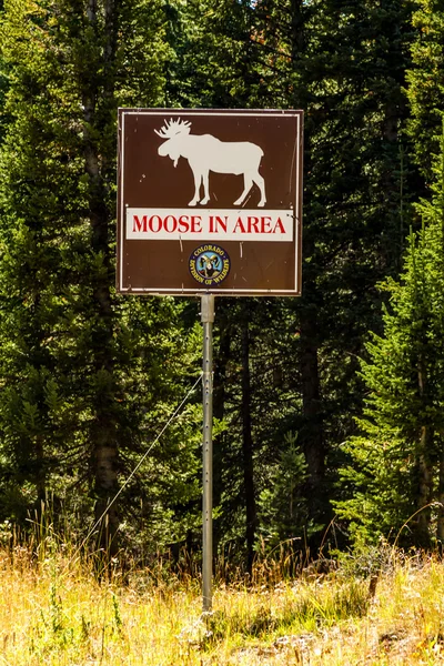 Nedgången i steamboat springs colorado — Stockfoto