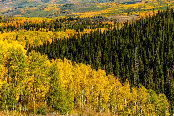 Caída en Steamboat Springs Colorado — Foto de Stock