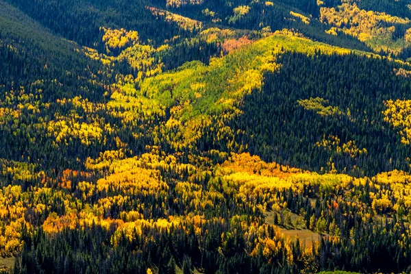 Sturz in Dampfbootfedern colorado — Stockfoto