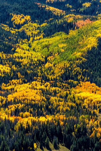 Colorado sonbaharda steamboat springs — Stok fotoğraf