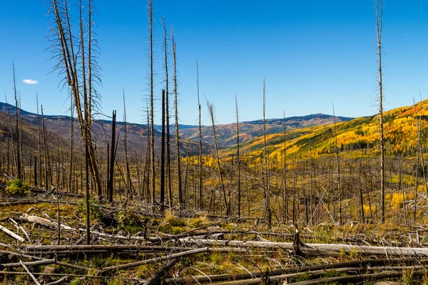 Падение в Steamboat Springs Колорадо — стоковое фото