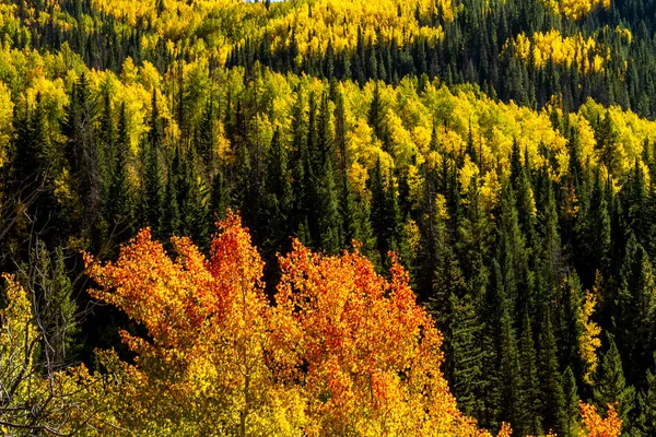 Caída en Steamboat Springs Colorado — Foto de Stock