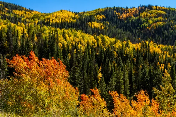 Nedgången i steamboat springs colorado — Stockfoto