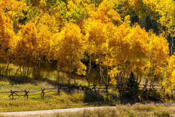 Jesień w steamboat springs colorado — Zdjęcie stockowe